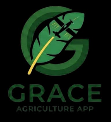 GraceFly